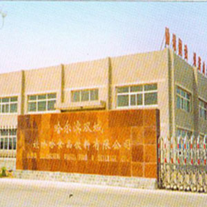 娃哈哈食品飲料有限公司